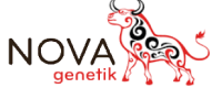 Snimka zaslona 2025-07-31 093321